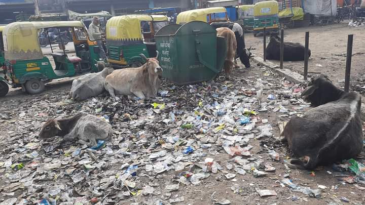 शाहजहांपुर यूपी अड्डे के पास भारी मात्रा में कूड़े का ढेर लग रहा है