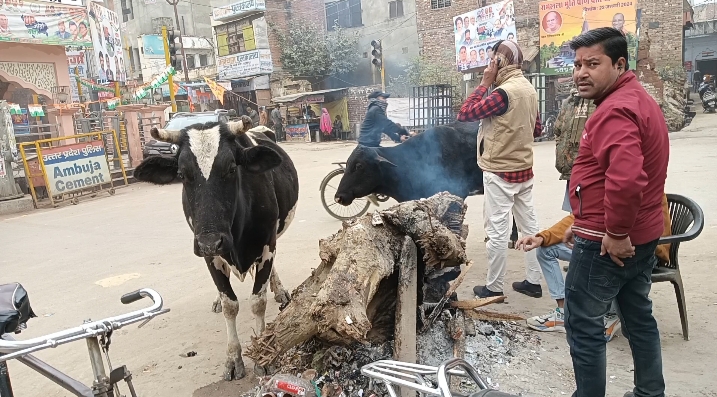 पार्षदो का ही पूर नही कर पा रही है अलाव की सरकारी लकड़ी!