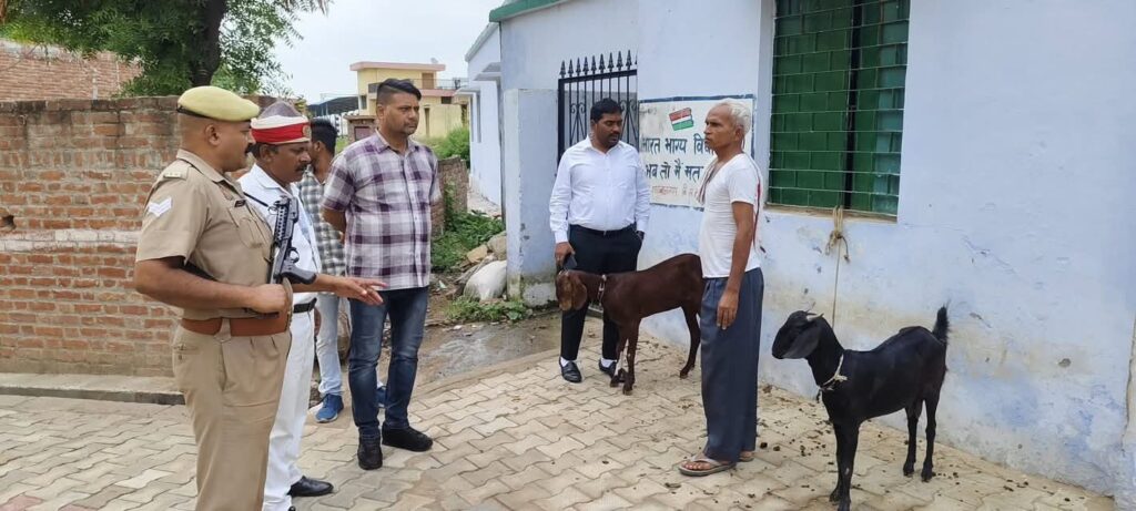 स्कूल के गेट पर बंधी मिलीं बकरियां, अंदर पढ़ाई कर रहे  थे बच्चे